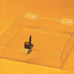 square tray cases