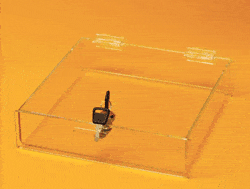 LCT2yelo square tray cases