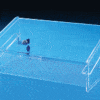 locking tray case